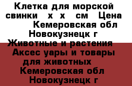 Клетка для морской свинки 42х30х36 см › Цена ­ 700 - Кемеровская обл., Новокузнецк г. Животные и растения » Аксесcуары и товары для животных   . Кемеровская обл.,Новокузнецк г.